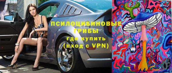 бошки Абинск