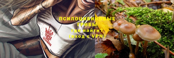 бошки Абинск