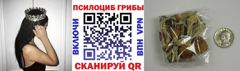 KRAKEN зеркало даркнет сайт Новая Усмань Галлюциногенные грибы мицелий